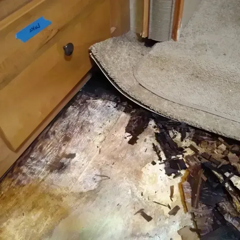 Best Wood Floor Water Damage Service in Walworth, WI